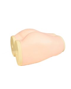 M74 Gluteus Maximus Injection Simulator