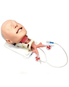 MW14 Diﬃcult Airway Management Simulator - Demonstration Model