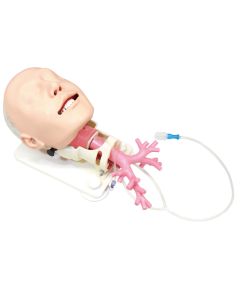 MW19 Diﬃcult Airway Management Simulator for Bronchoﬁberscopy