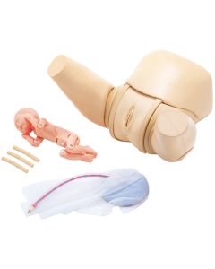 MW36 Vaginal Delivery Assistance Simulator