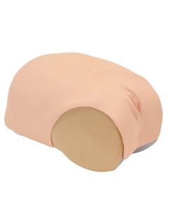 MW38 Uterine Involution Assessment Simulator