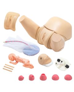 MW40 Obstetric Training Simulator - Complete Set