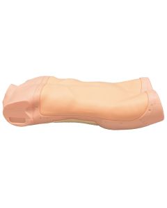 MW43 "AbdoAbby" Abdominal Examination Simulator - Light Skin