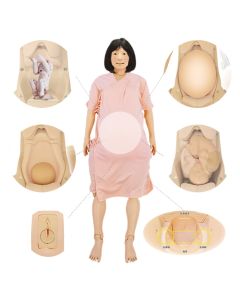 MW48 HANA Full Perinatal Patient Care Simulator (Manikin Only)