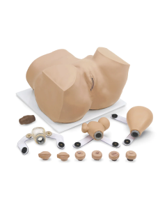 Eva Gynecologic Manikin With Carry Case