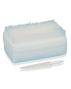 STERILE Surgical Dry Scrub Brush (30)