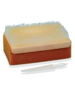 PVP 7.5% Iodine STERILE Scrub Brush Kit (30)