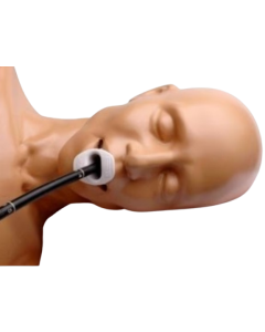 Transoesophageal and Transthoracic Echo Ultrasound Training Model