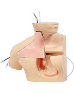 M93C CVC Insertion Simulator III