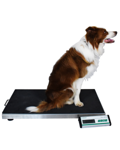 Marsden V-150 Large Veterinary Scale