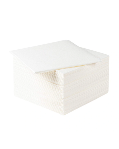 Blue Label MG Patient Cleansing Dry Wipes L (18 x 100)