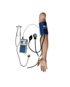 Gaumard Blood Pressure Training Arm with Speakers - 230 Volt