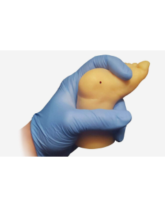 Newborn Blood Spot Test Simulator