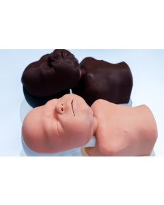 Newborn Airway Management Task Trainer