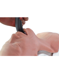 Airway  Management Task Trainer V2