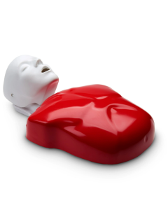 BASIC BUDDY CPR Torso Training (1)