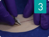 Step 3